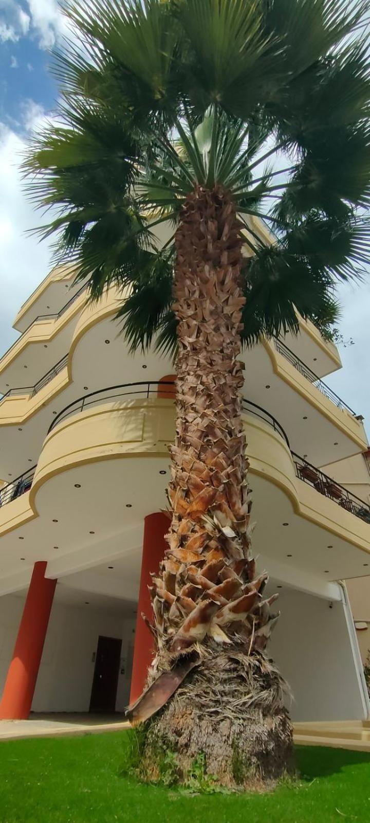 Garden Luxury Apartment Heraklion Exterior foto