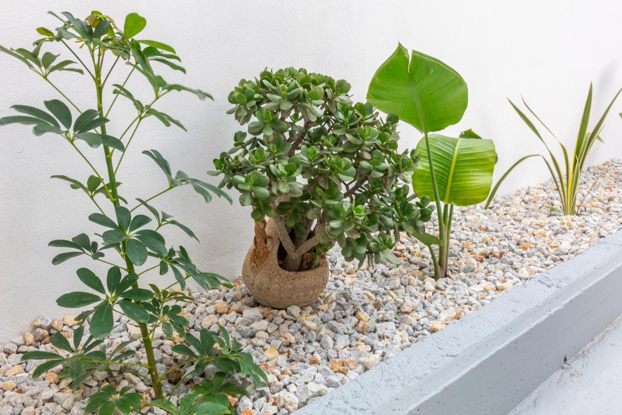 Garden Luxury Apartment Heraklion Exterior foto