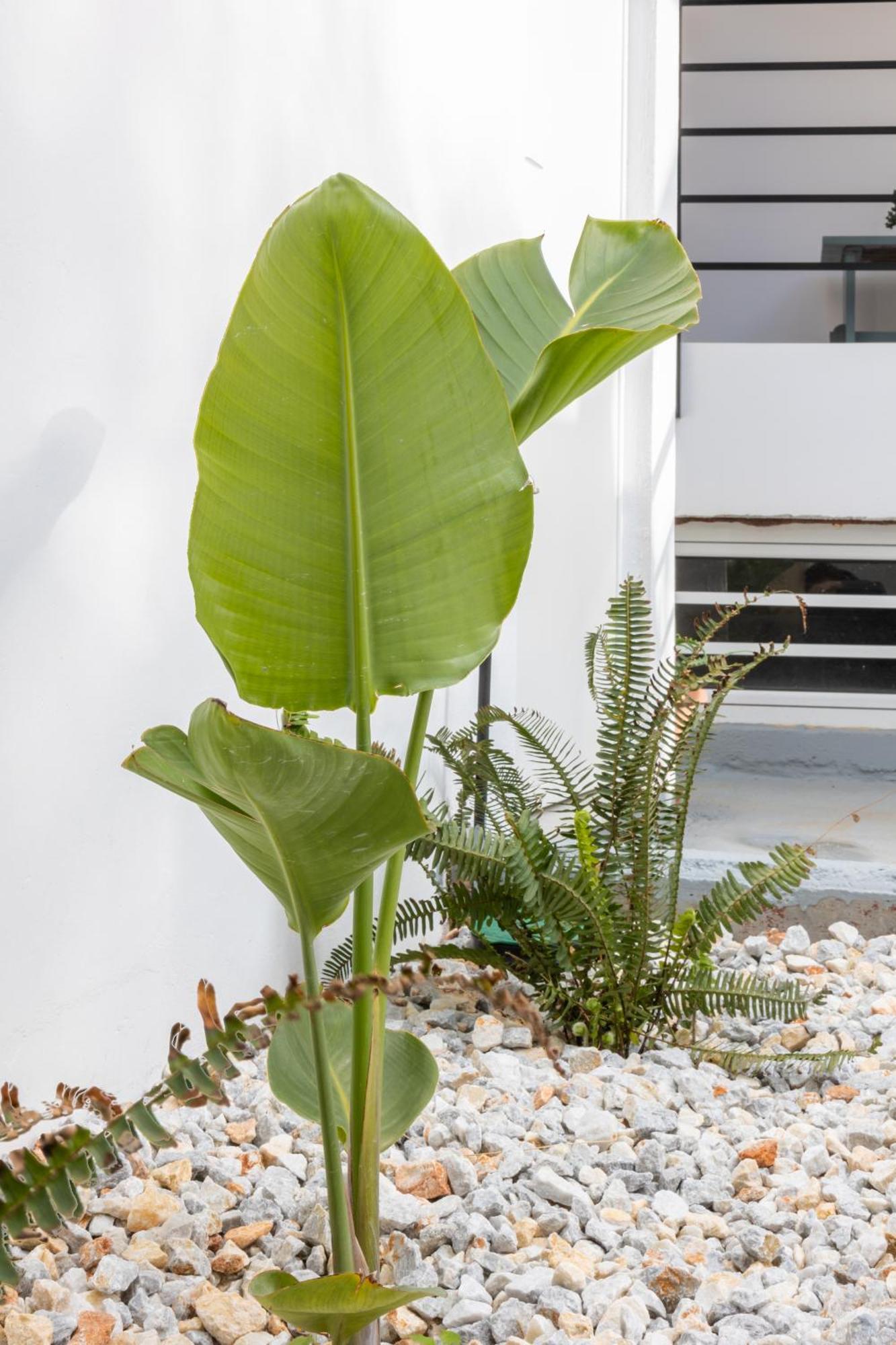 Garden Luxury Apartment Heraklion Exterior foto